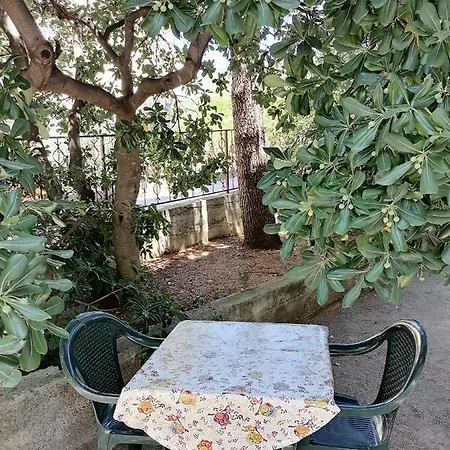 Summer 2 קריקווניצה